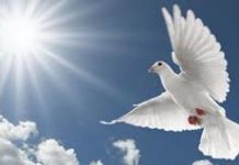 Raspored slavlja sakramenta svete potvrde 2026.