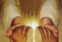 19. NEDJELJA KROZ GODINU (B – 11.8.2024.)