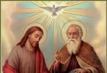 PRESVETO TROJSTVO (C – 15.6.2025.)