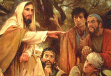 4. nedjelja kroz godinu (B, 31.1.2021.)