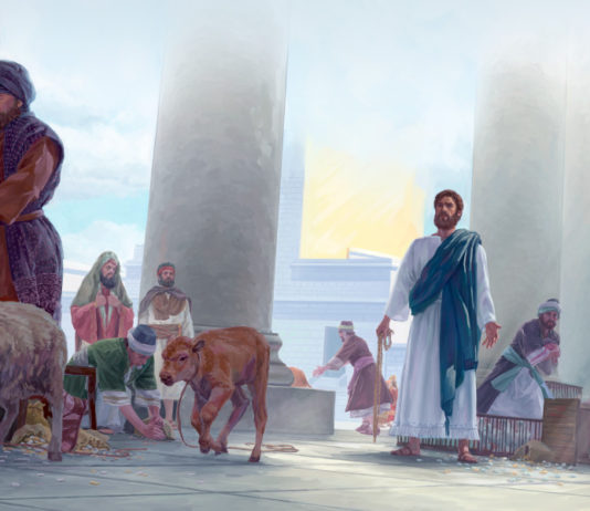 31. NEDJELJA KROZ GODINU (C – 9.11.2025.)