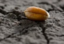 5. KORIZMENA NEDJELJA (17.3.2024.)