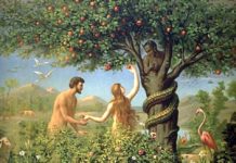 10. NEDJELJA KROZ GODINU (B, 6.6.2021.)