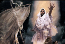 12. NEDJELJA KROZ GODINU (B – 23.6.2024.)