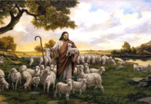 4. VAZMENA NEDJELJA (A – 30.4.2023.)