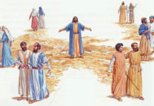 15. NEDJELJA KROZ GODINU (B – 14.7.2024.)