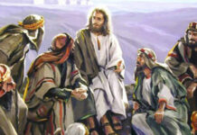 24. NEDJELJA KROZ GODINU (A – 17.9.2023.)