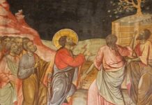 33. NEDJELJA KROZ GODINU (B – 14.11.2021.)