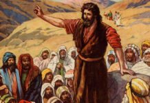 3. NEDJELJA DOŠAŠĆA (C – 15.12.2024.)