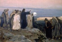 13. NEDJELJA KROZ GODINU (C – 26.6.2022.)