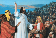 17. NEDJELJA KROZ GODINU (B – 28.7.2024.)