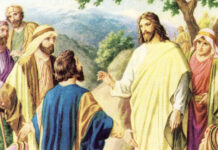 21. NEDJELJA KROZ GODINU (C – 24.8.2025.)