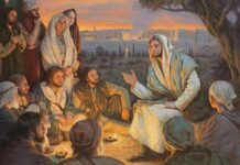 1. NEDJELJA DOŠAŠĆA (B – 3.12.2023.)