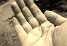 27. NEDJELJA KROZ GODINU (C – 5.10.2025.)