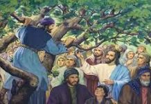 31. NEDJELJA KROZ GODINU (C – 30.11.2022.)