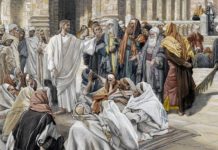 33. NEDJELJA KROZ GODINU (A – 19.11.2023.)