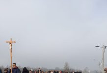 Križni put od Davora do Orubice