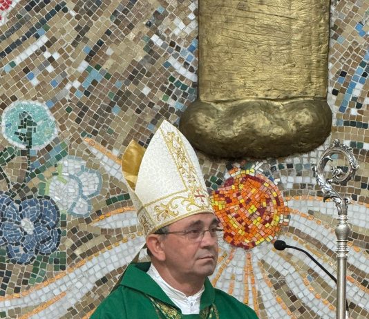 Božićna poruka požeškog biskupa